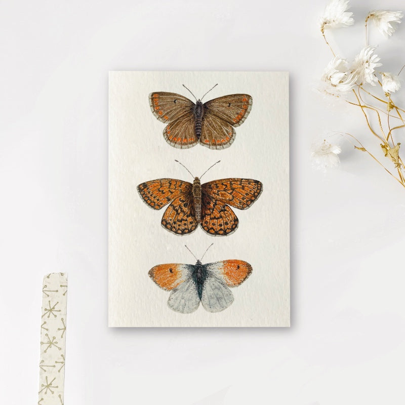 Kaarten set | Natuur