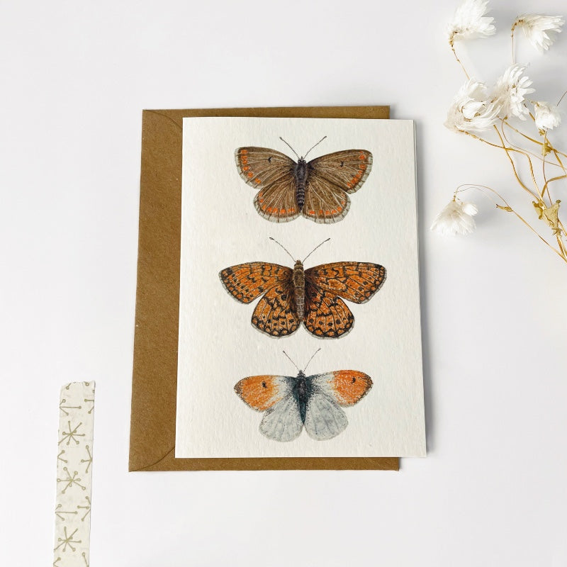 Kaarten set | Natuur