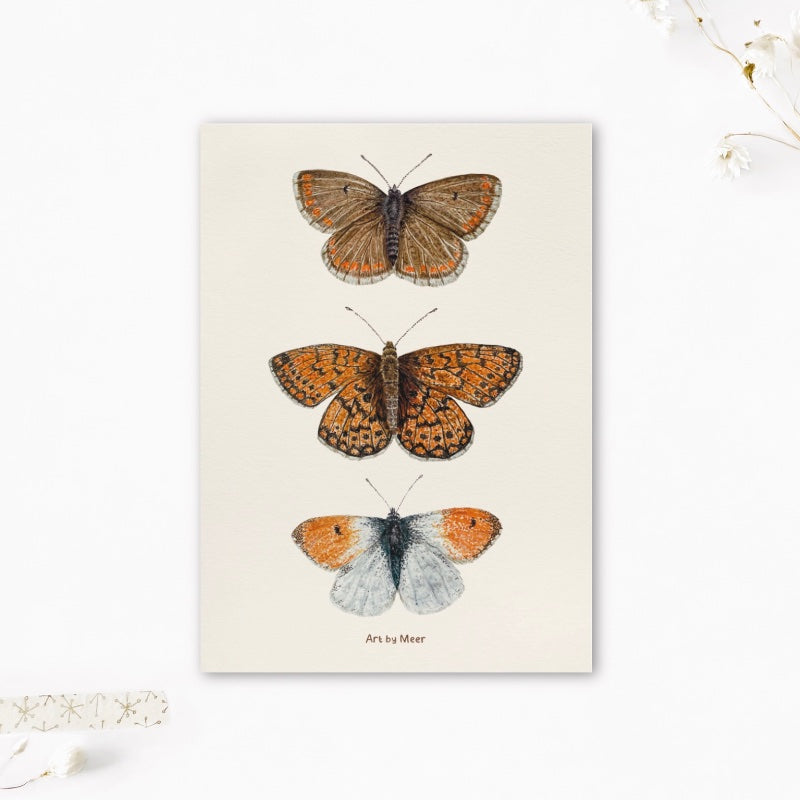 A5 print | Vlinders