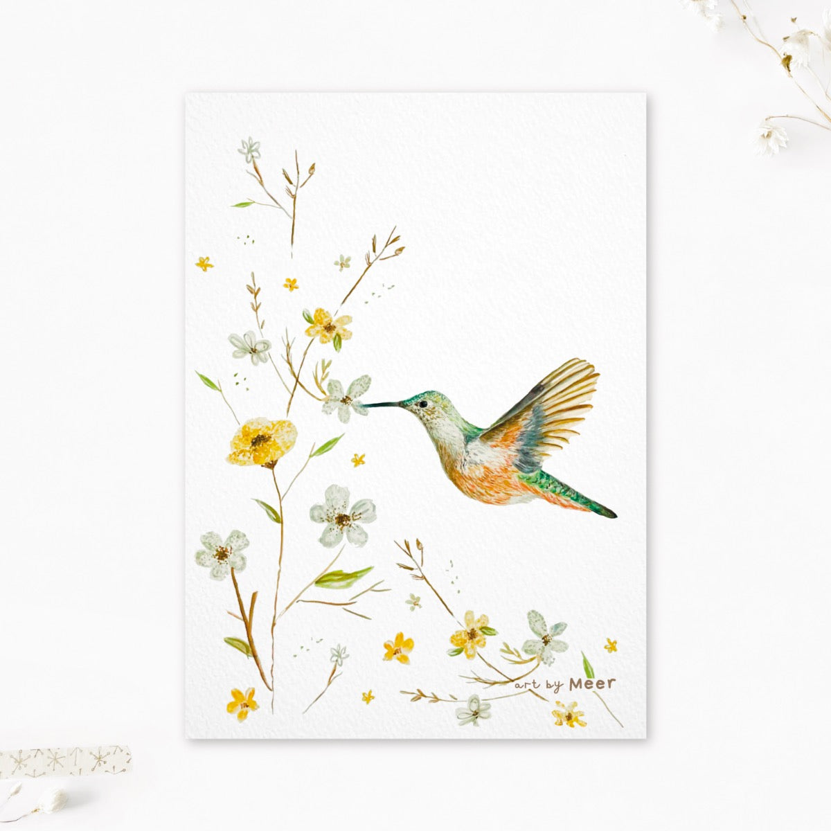 A4 art print | Kolibrie