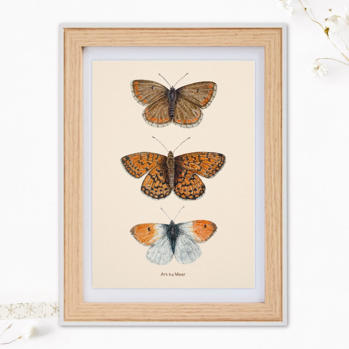 A5 print | Vlinders