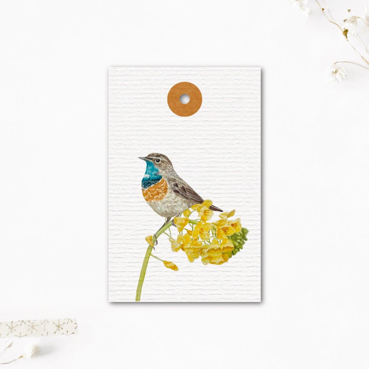 Cadeaulabel | Blauwborstje