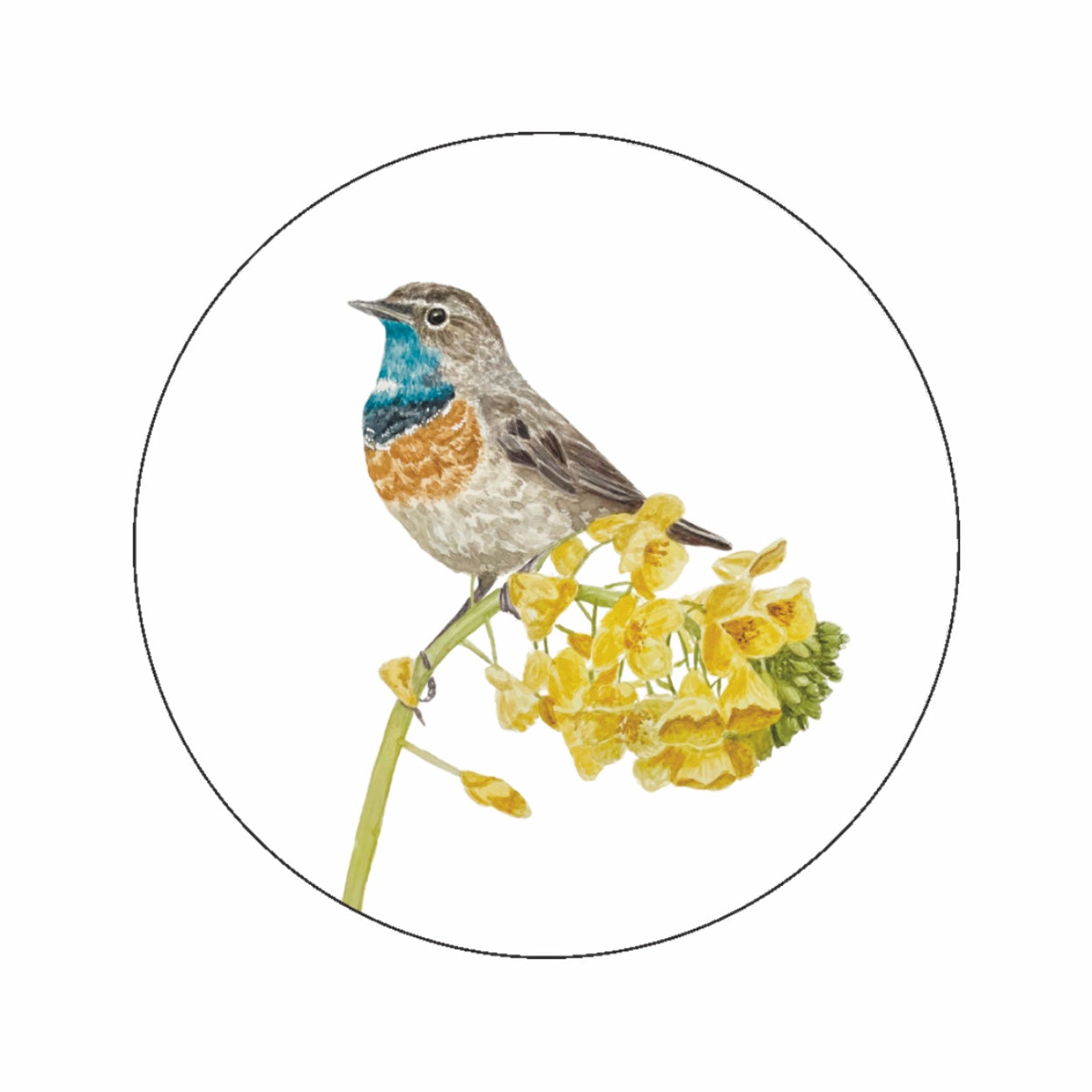 (sluit)Sticker | Blauwborstje