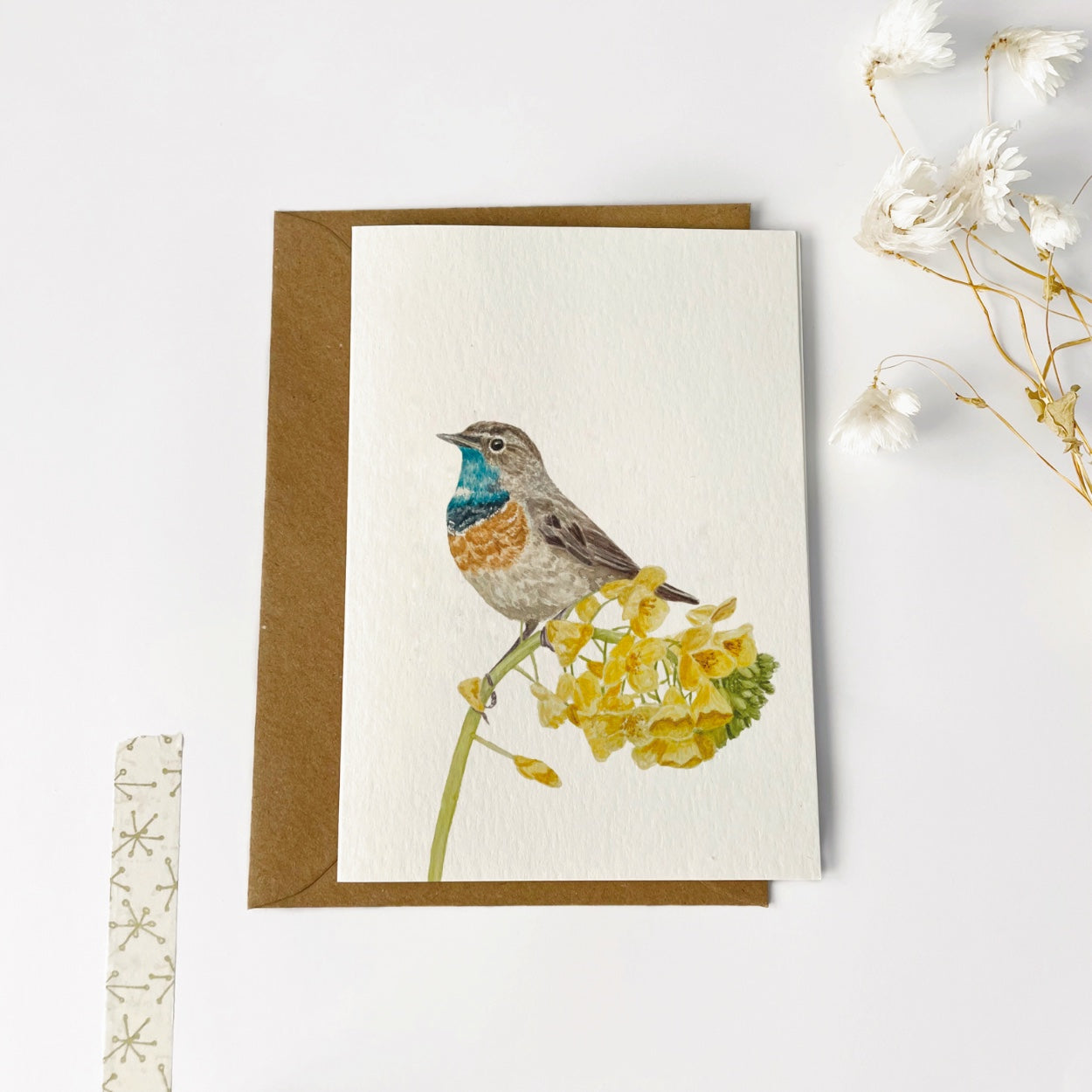 Gevouwen kaart | Blauwborstje