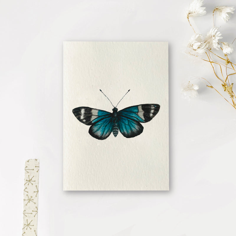 Enkele kaart | Vlinder heliconius