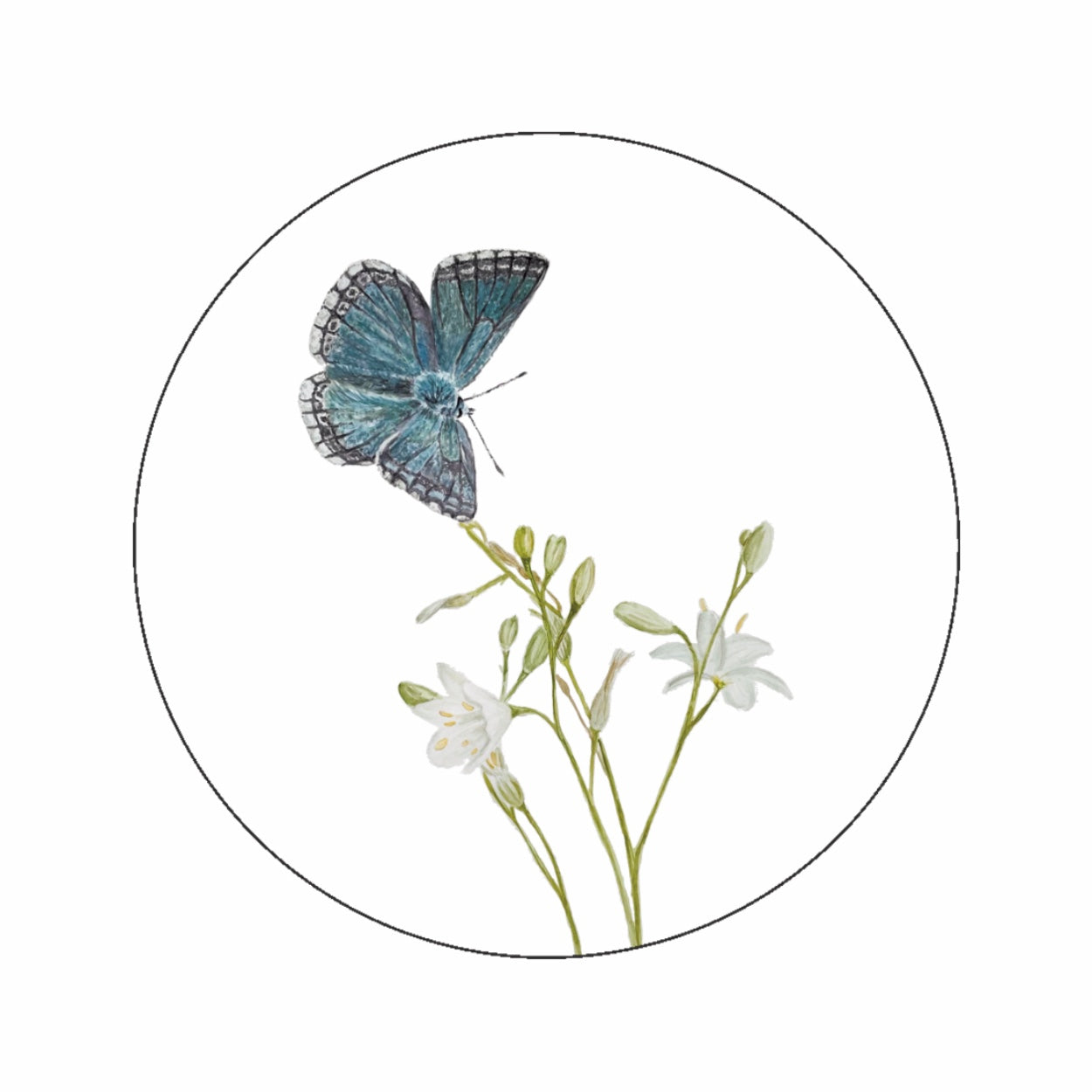 (sluit)Sticker | Bleek blauwtje vlinder