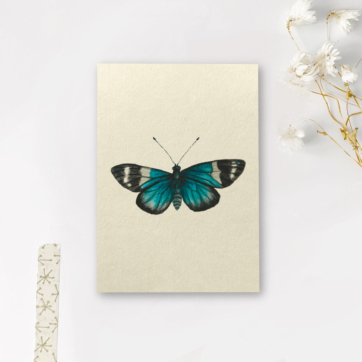 Enkele kaart | Vlinder heliconius