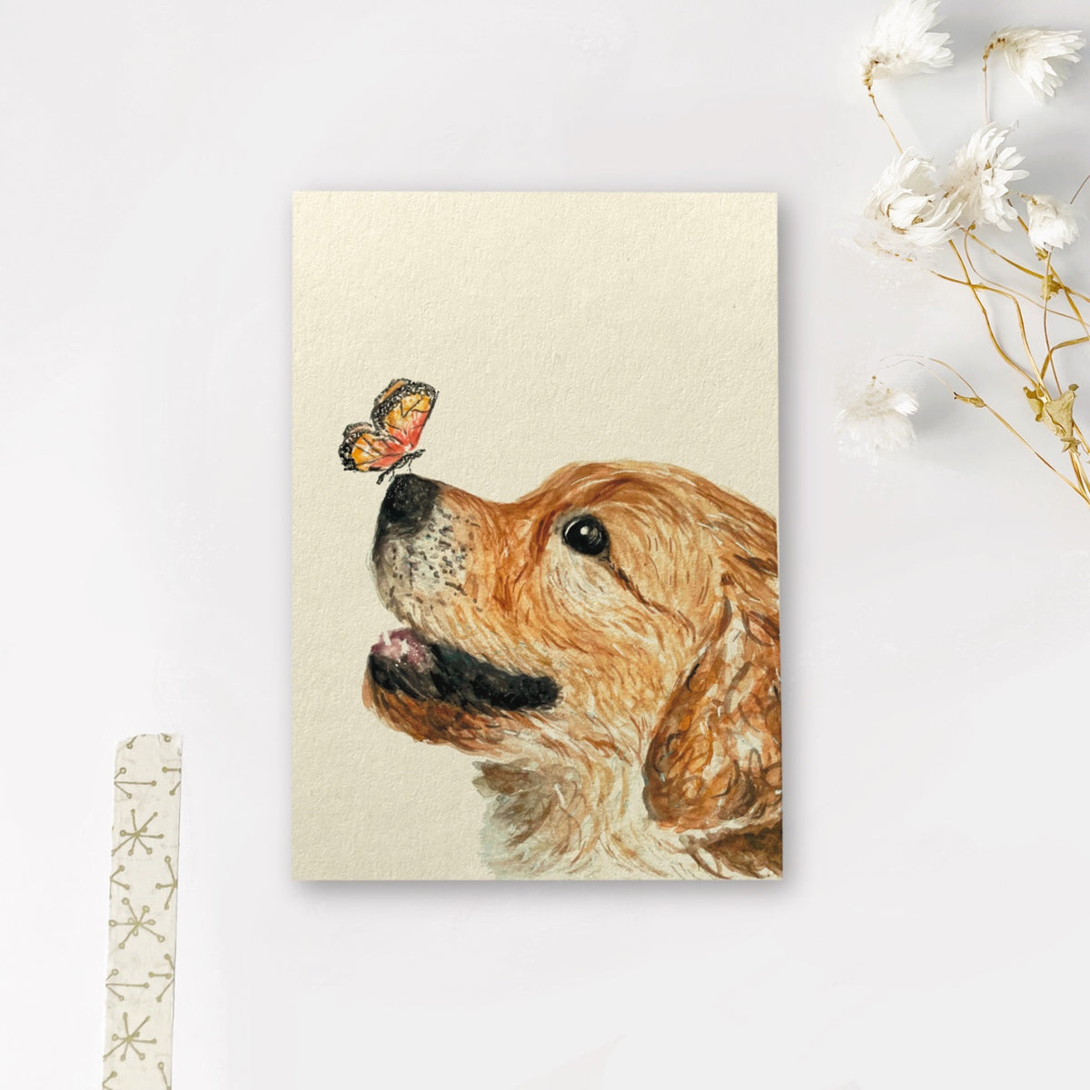 Enkele kaart | Hondje met vlindertje