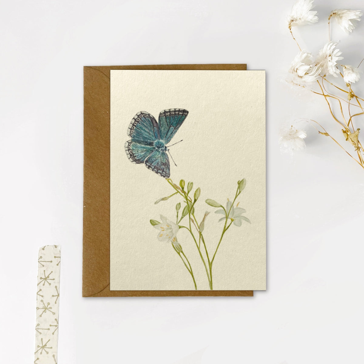 Gevouwen kaart | Bleek blauwtje vlinder