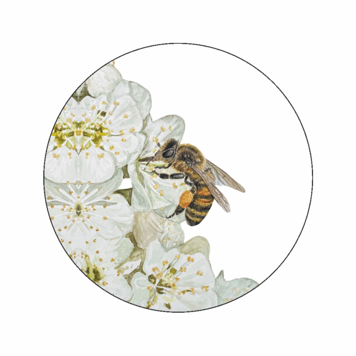 (sluit)Sticker | Honingbij