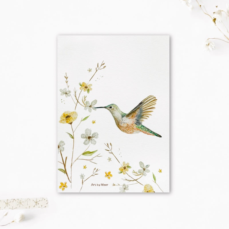 A5 print | Kolibrie