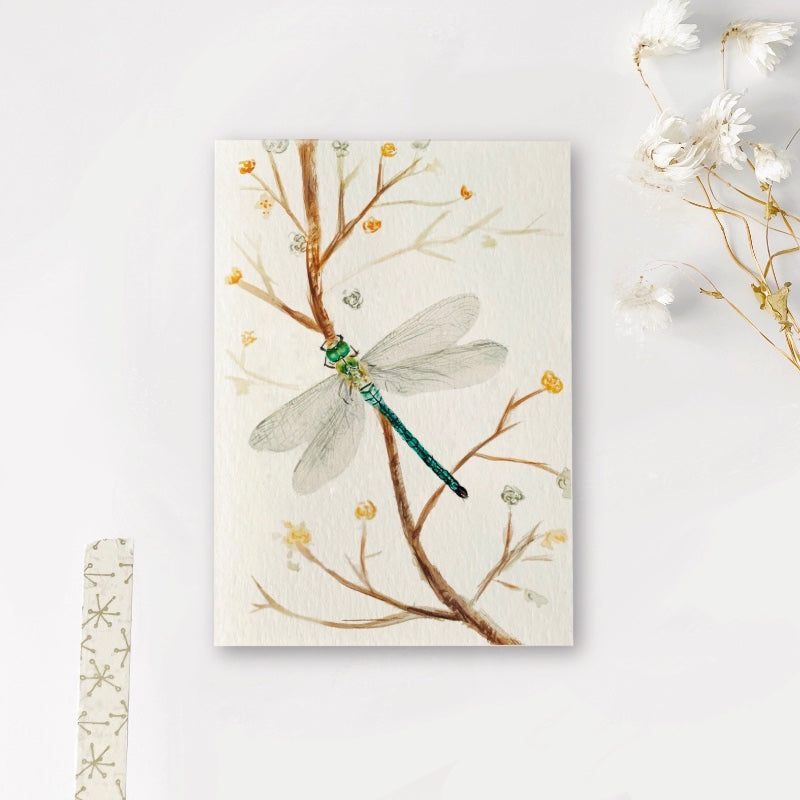 Enkele kaart | Libelle