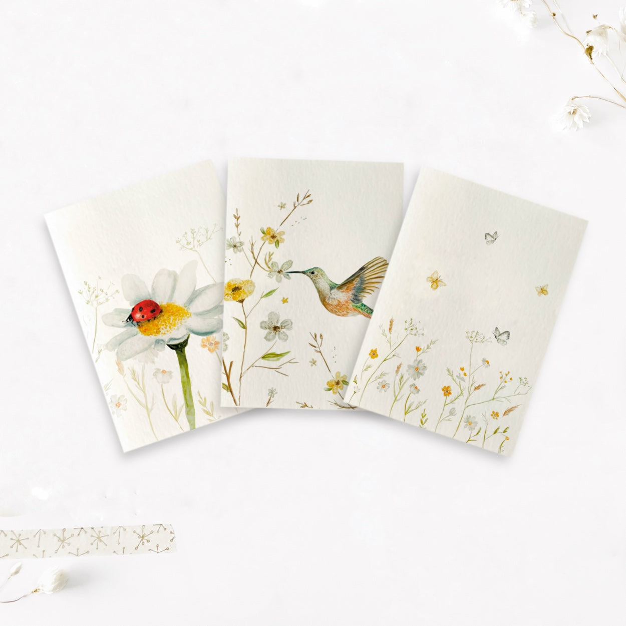 Kaarten set | Natuur bloem