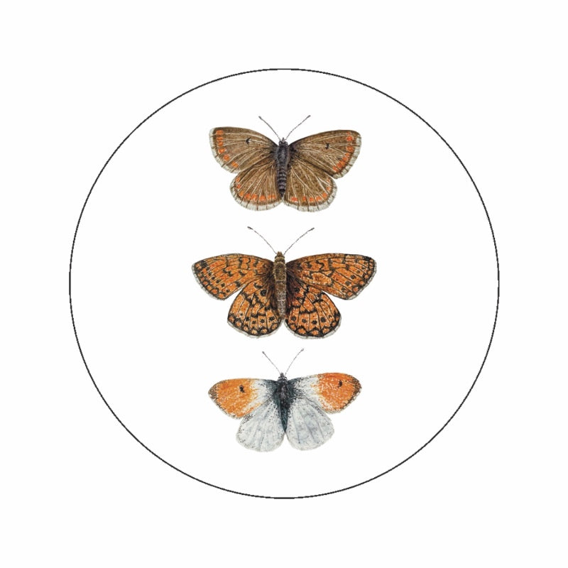 (sluit)Sticker | Vlinders