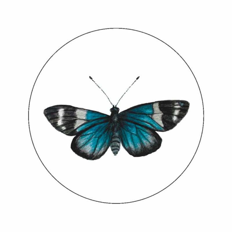 (sluit)Sticker | Heliconius vlinder