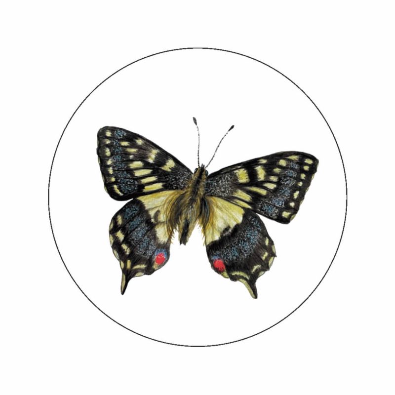 (sluit)Sticker | Koninginnenpage vlinder