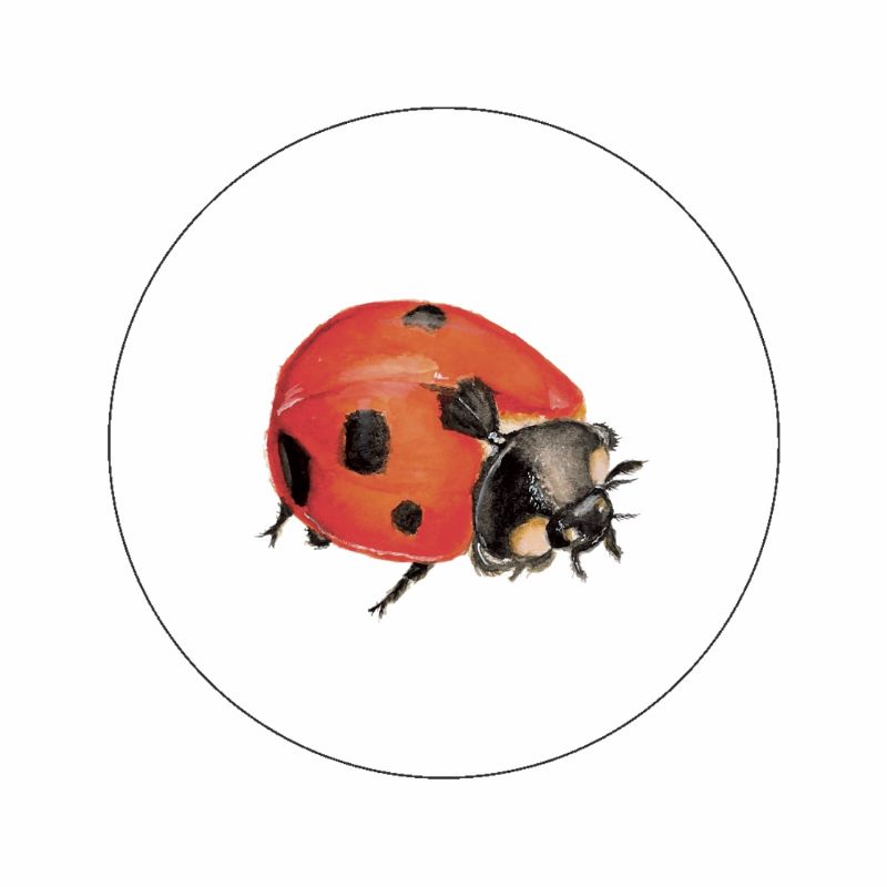 (sluit)Sticker | Lieveheersbeestje
