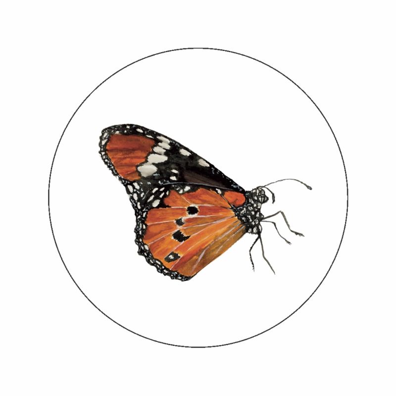 (sluit)Sticker | Monarch vlinder