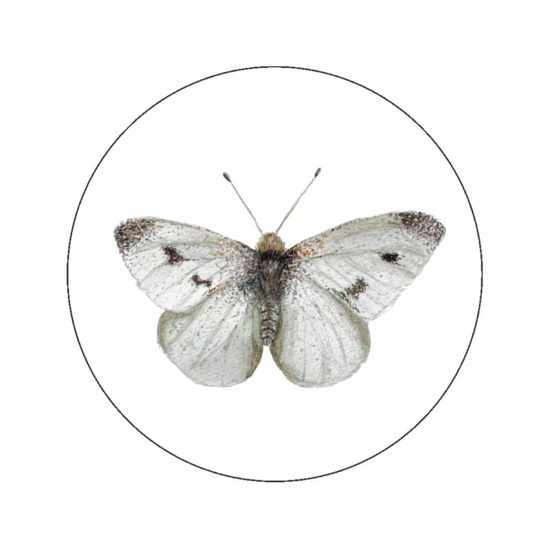 (sluit)Sticker | Koolwitje vlinder