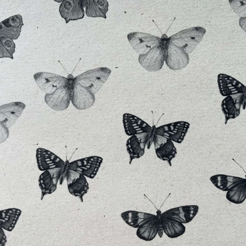 Inpakpapier| Vlinders