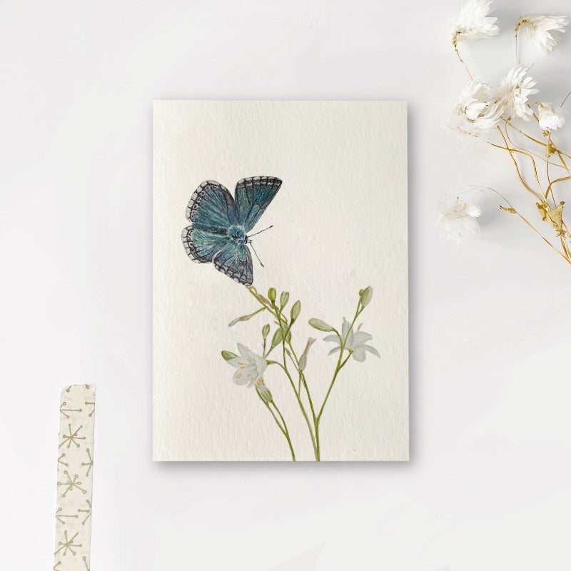 Enkele kaart | Bleek blauwtje vlinder