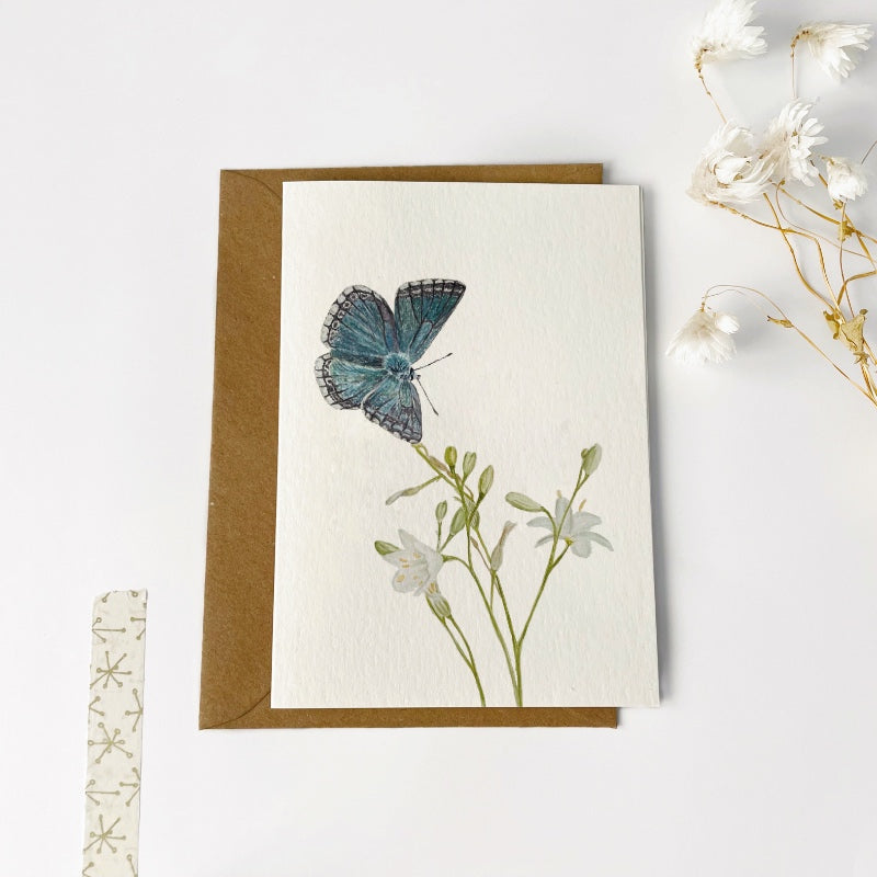 Gevouwen kaart | Bleek blauwtje vlinder